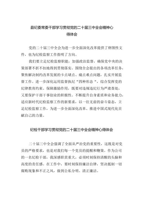 纪委书记纪委监委干部学习二十三中全会精神心得体会研讨发言8篇（详细版）.docx