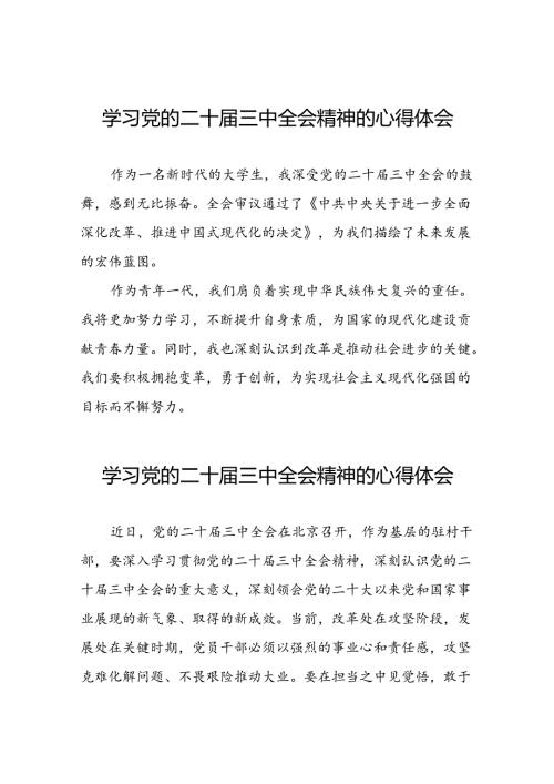 学习贯彻2024年二十三中全会精神心得感悟合集四十篇.docx