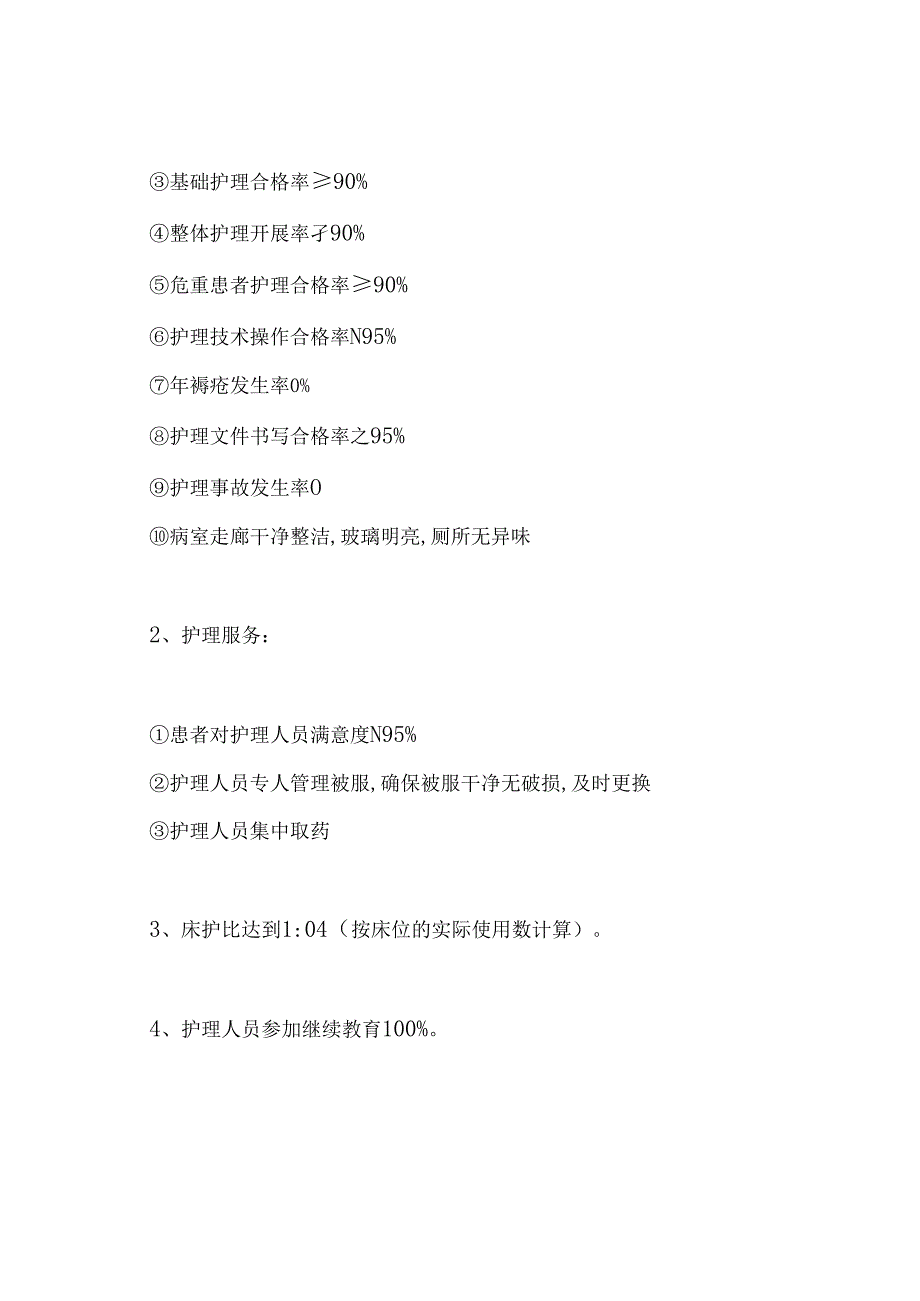 医院护理部工作计划.docx_第2页