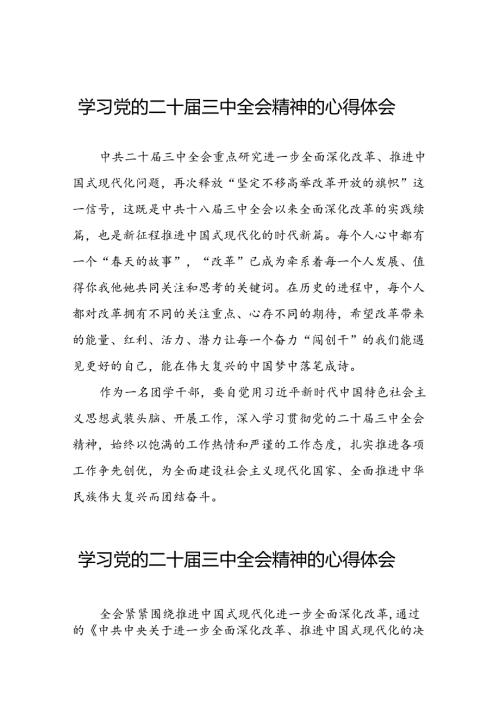 学习贯彻二十三中全会精神的心得体会最新模板三十六篇.docx
