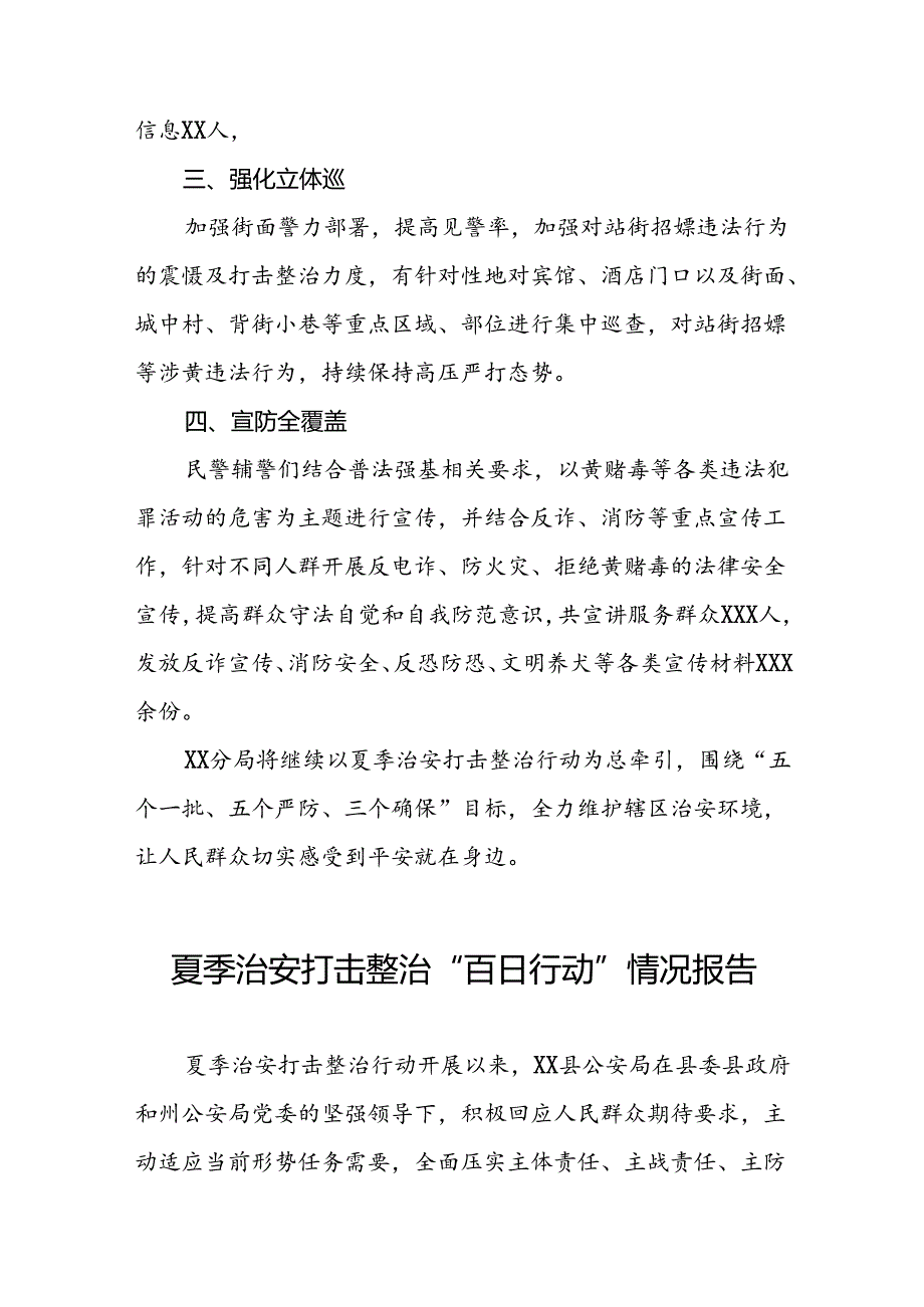 公安深入推进夏季治安打击整治行动情况报告(十一篇).docx_第2页