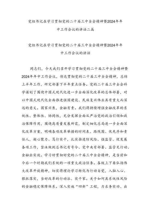 党组书记在学习贯彻党的二十三中全会精神暨2024年年中工作会议的讲话二篇.docx