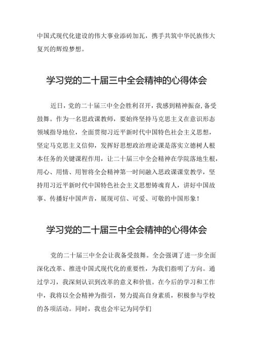 学习贯彻党的二十三中全会精神心得体会模板25篇.docx
