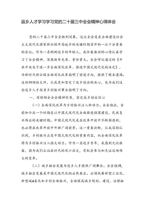 返乡人才学习学习二十三中全会精神研讨发言心得体会.docx
