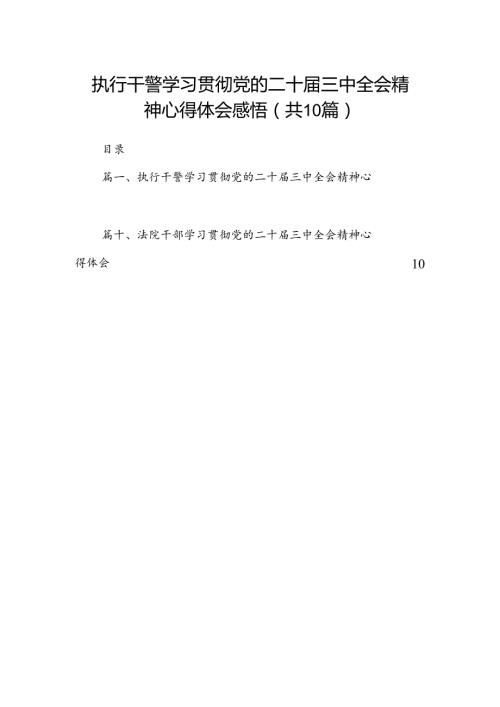 执行干警学习贯彻党的二十三中全会精神心得体会感悟10篇（精选版）.docx