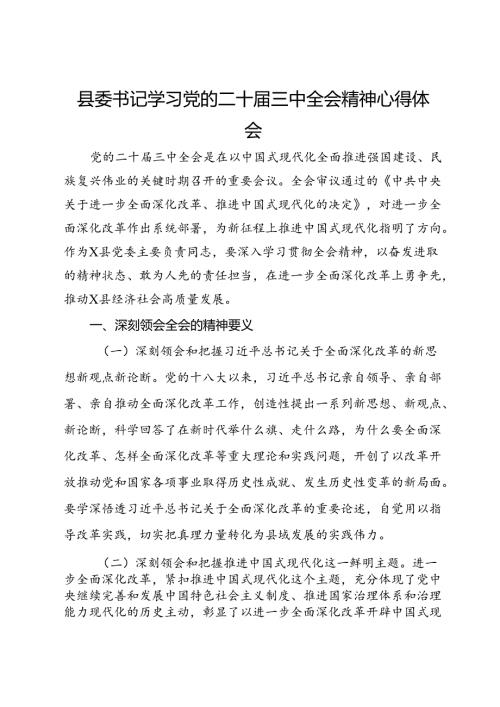 县委书记学习党的二十三中全会精神心得体会.docx