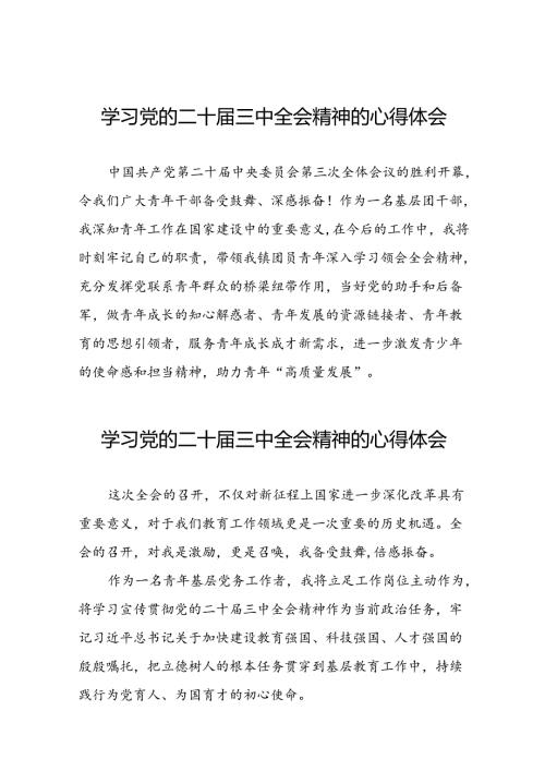 村支部书记学习党的二十三中全会精神的心得体会25篇.docx