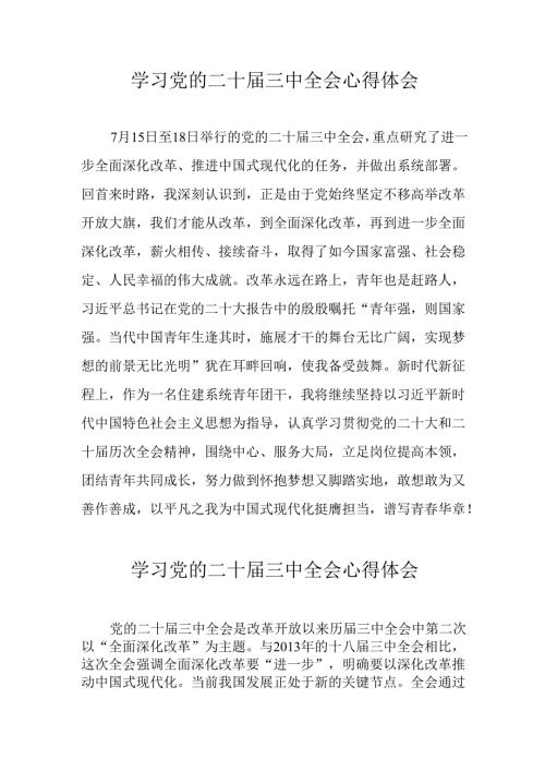 学习2024年党的二十三中全会心得体会 （11份）85.docx