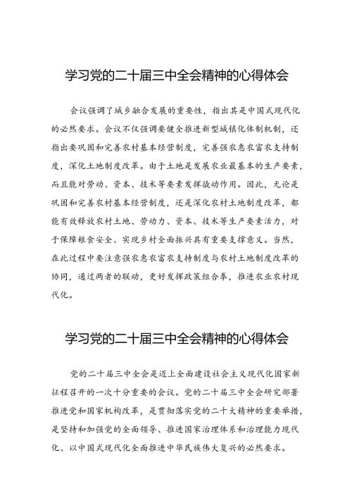 学习贯彻2024年二十三中全会精神心得体会范例四十篇.docx