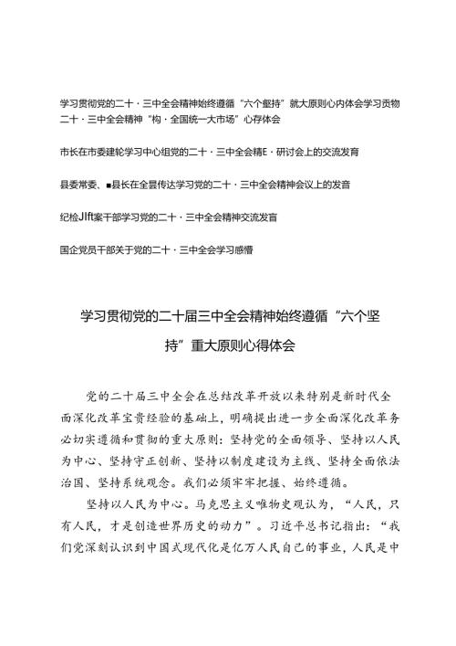 学习贯彻党的二十三中全会精神始终遵循“六个坚持”重大原则、“构建全国统一大市场”心得体会.docx