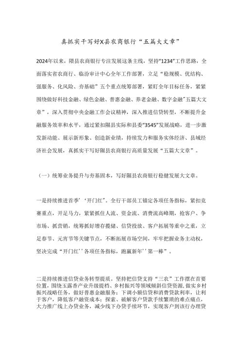 真抓实干写好X县农商银行“五篇大文章”.docx