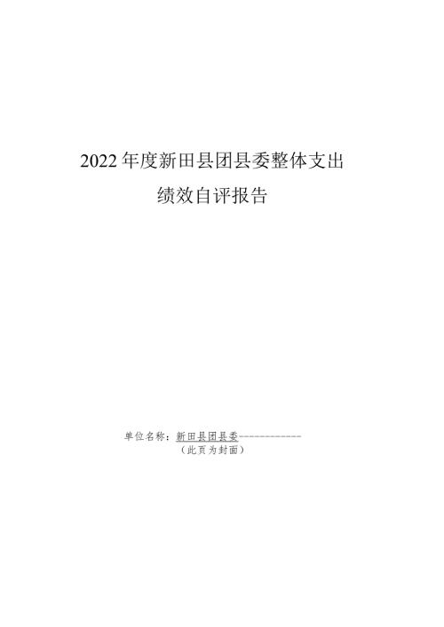 2022新田县团县委整体支出绩效自评报告.docx