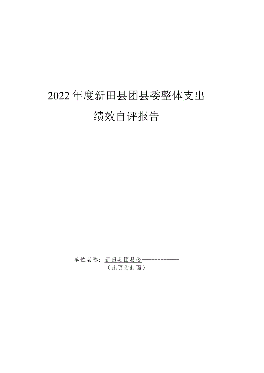2022新田县团县委整体支出绩效自评报告.docx_第1页