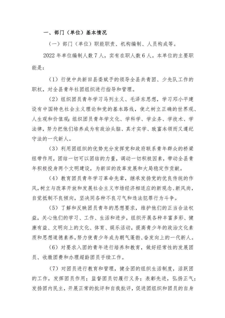2022新田县团县委整体支出绩效自评报告.docx_第2页