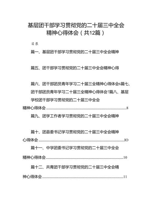 基层团干部学习贯彻党的二十三中全会精神心得体会范文12篇（详细版）.docx