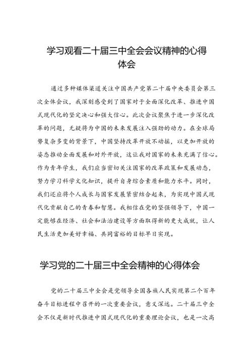 学习观看二十三中全会会议精神的心得体会二十七篇.docx
