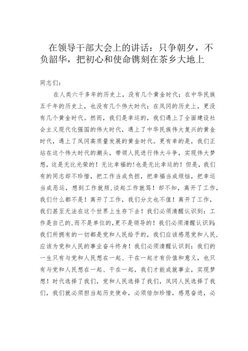在领导干部大会上的讲话：只争朝夕不负韶华把初心和使命镌刻在茶乡大地上.docx