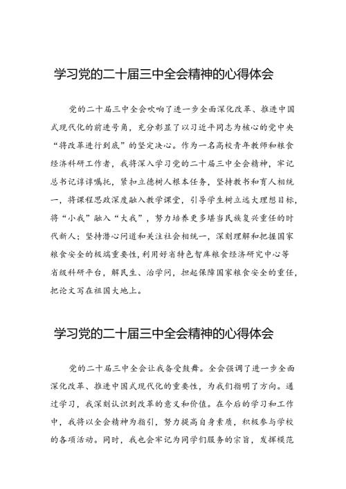 学习观看二十三中全会精神的心得体会优秀模板二十七篇.docx