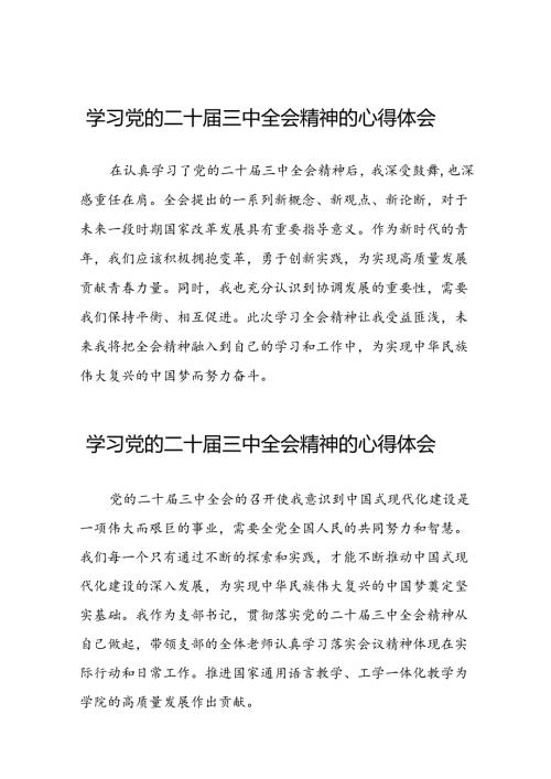 党员关于学习二十三中全会精神心得感悟合辑二十七篇.docx