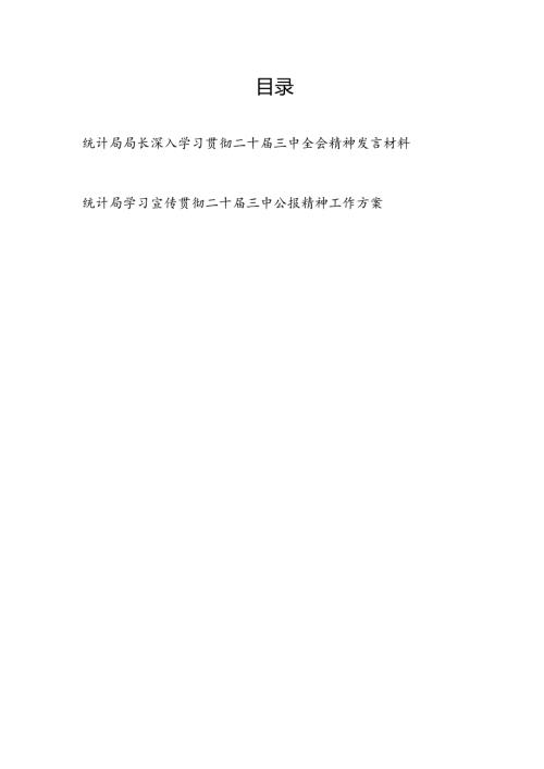 统计局长深入学习贯彻二十三中全会公报精神发言材料和学习宣传贯彻二十三中公报精神工作方案.docx