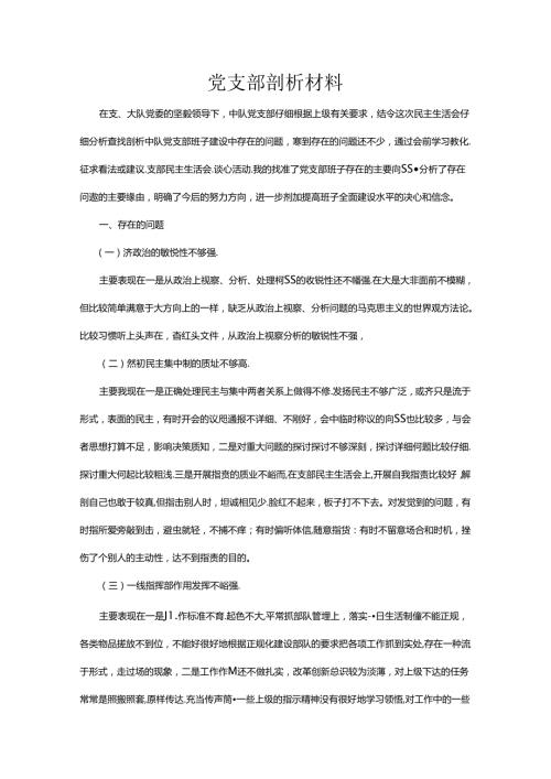 党支部剖析材料及整改措施.docx
