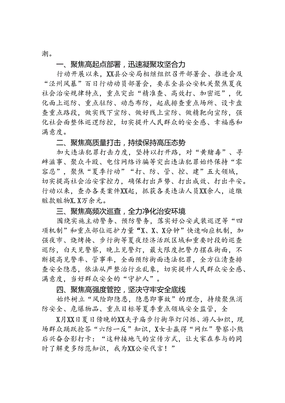 县公安2024夏季治安打击整治行动工作总结15篇.docx_第3页