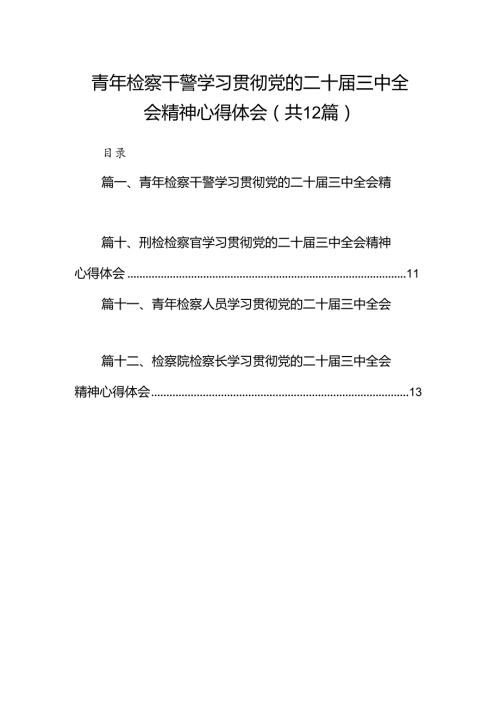 青年检察干警学习贯彻党的二十三中全会精神心得体会（共12篇选择）.docx