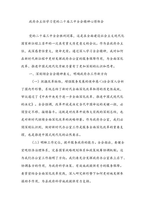 政府办主任学习党的二十三中全会精神心得体会研讨交流发言.docx