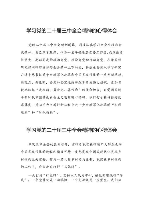 党员关于学习二十三中全会精神心得感悟发言稿三十五篇.docx