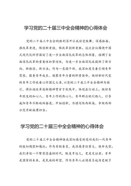 最新版学习贯彻2024年二十三中全会精神心得感悟25篇.docx