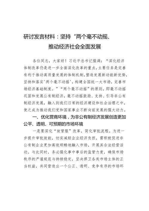 研讨发言材料坚持两个毫不动摇推动经济社会全面发展心得体会.docx