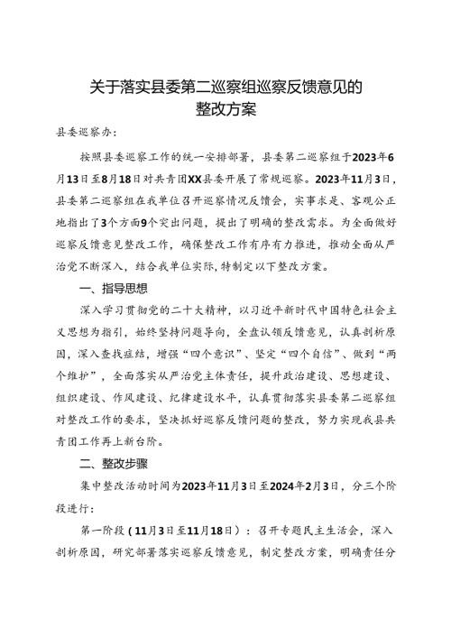 团委落实巡察反馈意见整改方案4600字.docx
