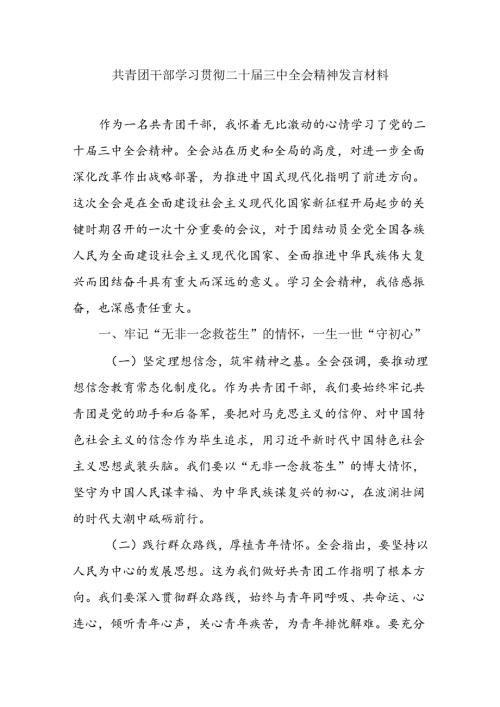 共青团员干部学习贯彻二十三中全会精神研讨交流发言材料.docx