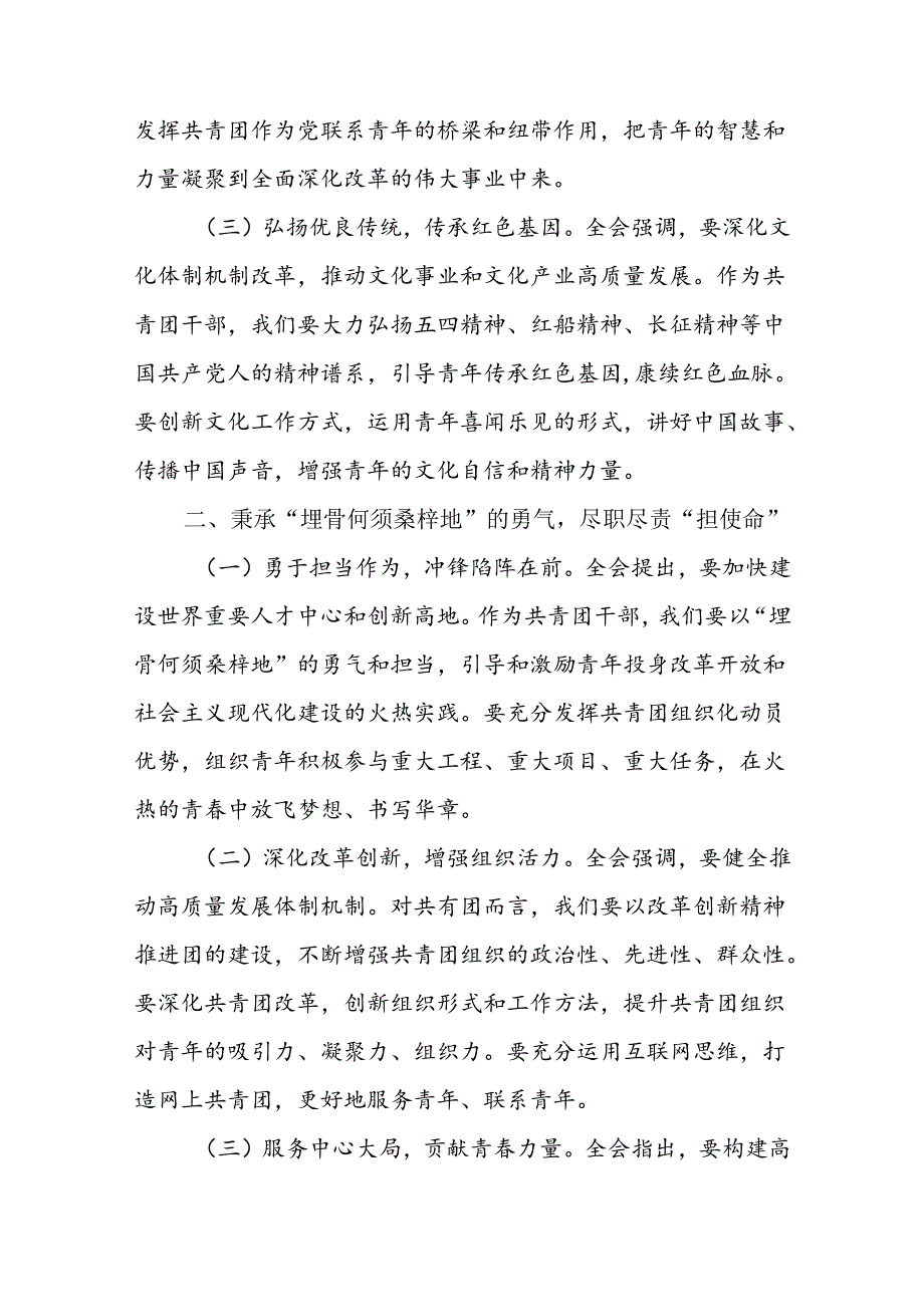 共青团员干部学习贯彻二十三中全会精神研讨交流发言材料.docx_第2页