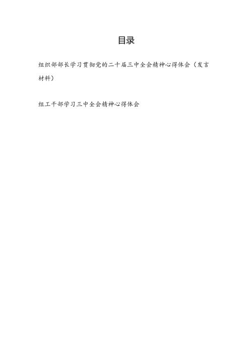 组织部部长组工干部学习贯彻党的二十三中全会精神心得体会研讨发言材料2篇.docx