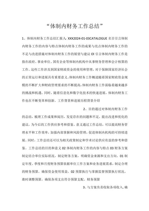 体制内财务工作总结.docx