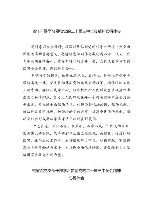 青年干警学习贯彻党的二十三中全会精神心得体会（共五篇）.docx