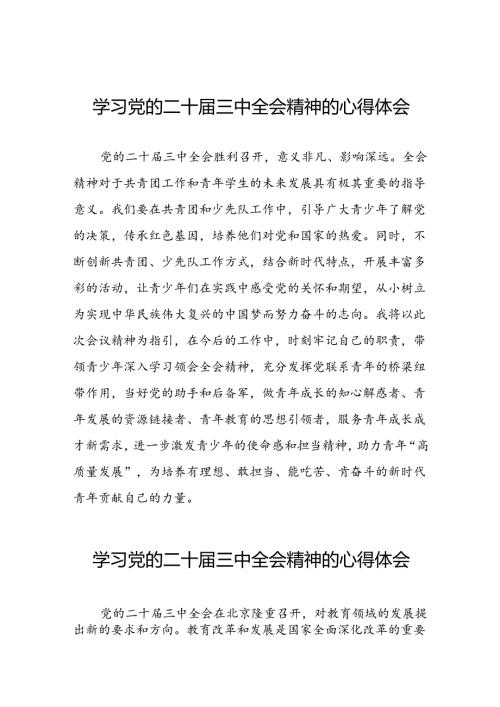 学习二十三中全会精神的心得体会模板三十六篇.docx