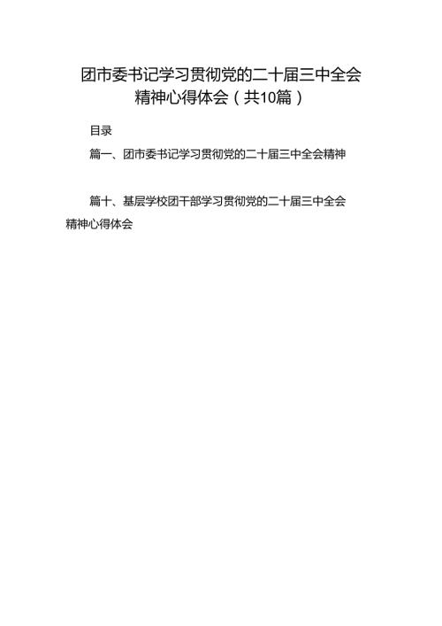 团市委书记学习贯彻党的二十三中全会精神心得体会10篇（详细版）.docx