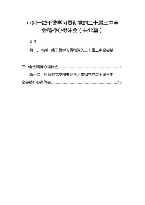 审判一线干警学习贯彻党的二十三中全会精神心得体会12篇（精选）.docx
