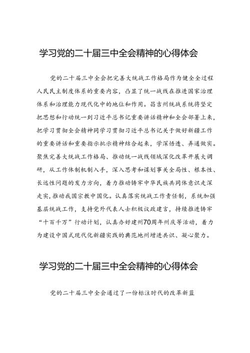 学习贯彻党的二十三中全会精神的心得感悟25篇.docx