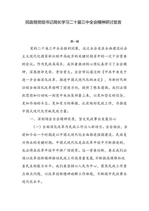 民政局党组书记局长学习二十三中全会精神研讨发言3篇.docx