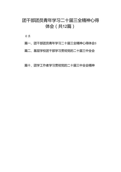 团干部团员青年学习二十三全精神心得体会(精选12篇).docx