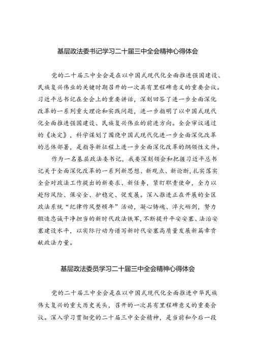 基层政法委书记学习二十三中全会精神心得体会5篇（精选版）.docx