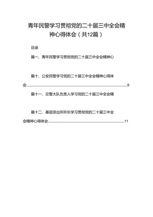 青年民警学习贯彻党的二十三中全会精神心得体会12篇供参考.docx