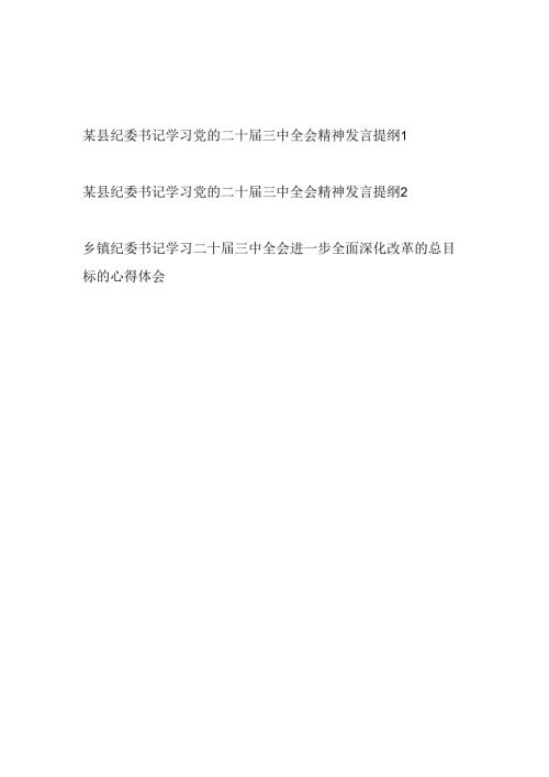 县纪委书记学习党的二十三中全会精神发言提纲2篇.docx