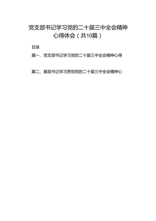 党支部书记学习党的二十三中全会精神心得体会十篇（精选）.docx