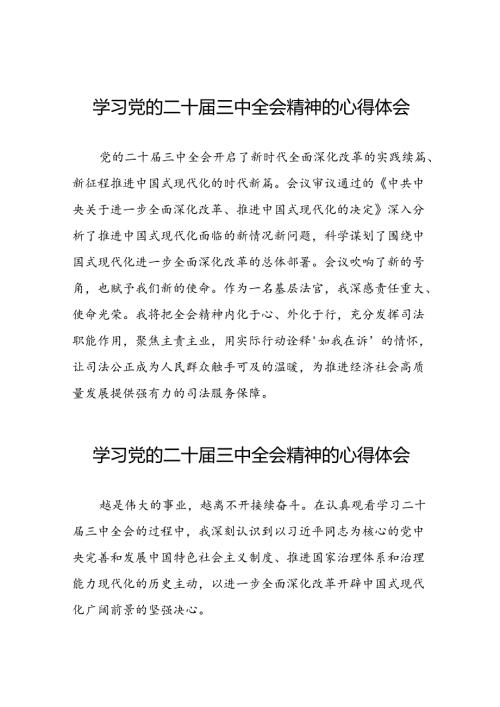 学习2024年党的二十三中全会精神的心得体会交流发言稿25篇.docx