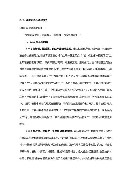 2023副县长述职报告.docx