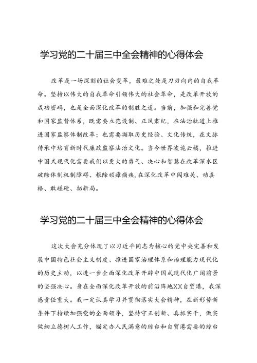 党员关于学习二十三中全会精神心得感悟范例三十五篇.docx